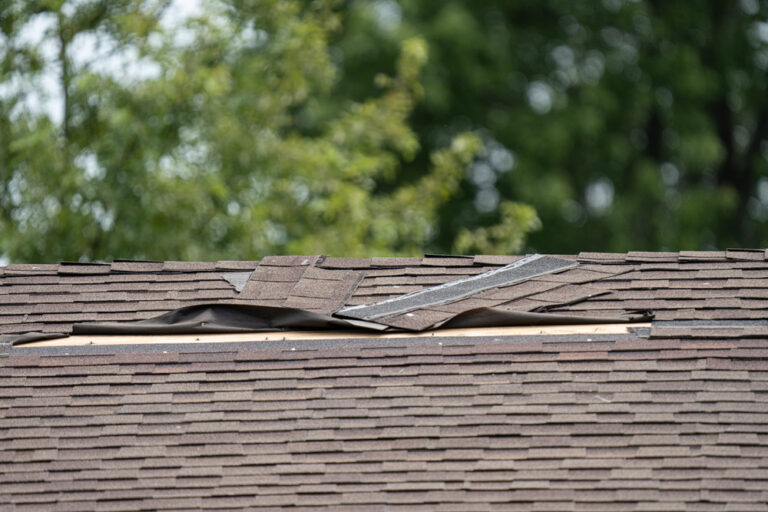 Roof shingles