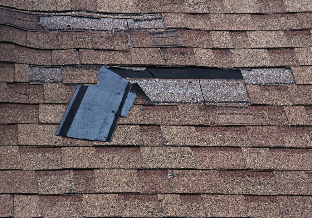 Roof Repair